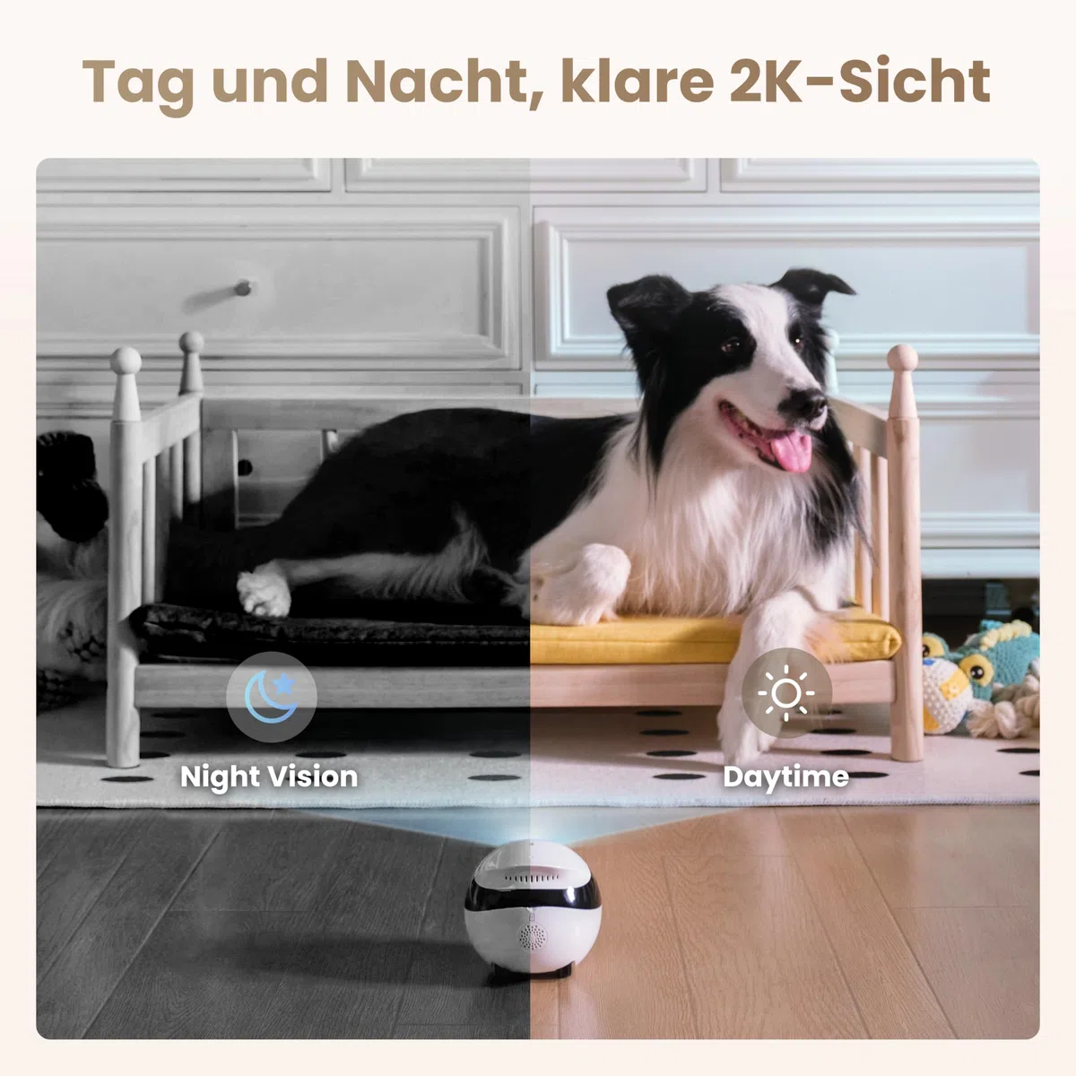 Enabot EBO Air 2 FamilyBot-Intelligenter 2K Überwachungskamera Roboter mit Selbstaufladung,Patrol Roboter für die Heimüberwachung,Kabellose Hundekamera&Katzen Kamera mit Nachtsicht,2-Wege-Audio (Weiß)